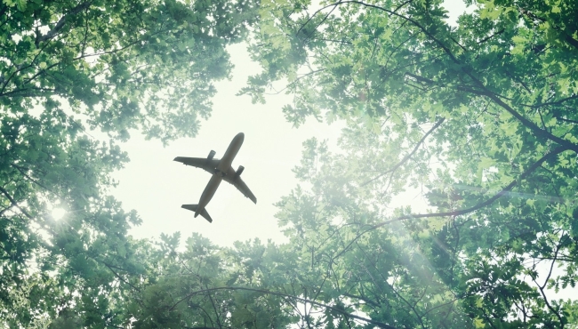 Aircraft flying over trees