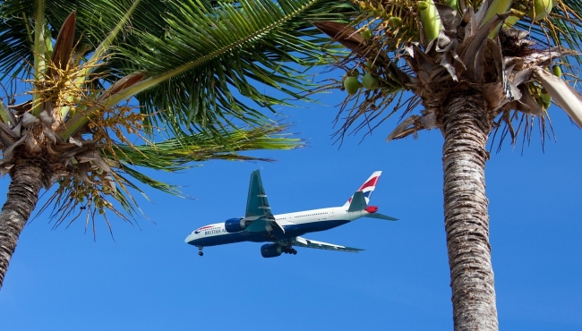 Aircraft flying over trees
