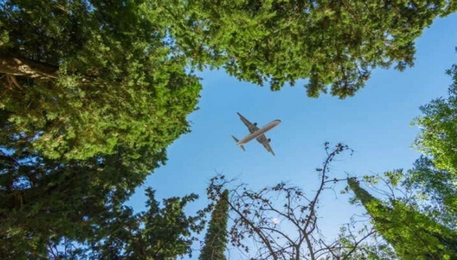 Plane flying over a forest