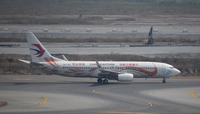 The China Eastern Airlines Boeing 737 aircraft involved in the crash of March 2022