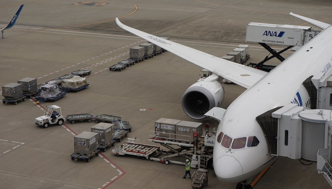An ANA Boeing 787 dreamliner sits at a gate at an airport surrounded by catering trucks and service vehicles