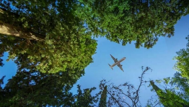 image of an aeroplane flying above some trees