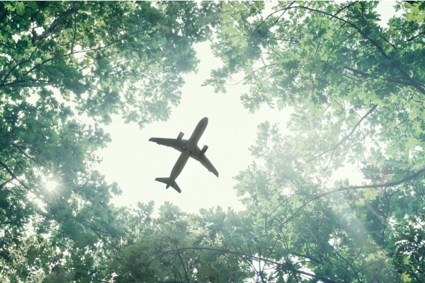 Narrowbody Aircraft Flying Through Trees
