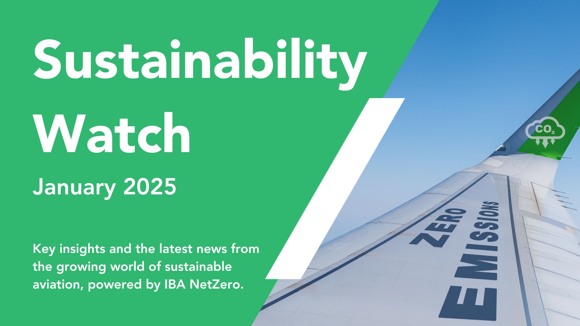 IBA's Sustainability Watch: January 2025 | IBA Group
